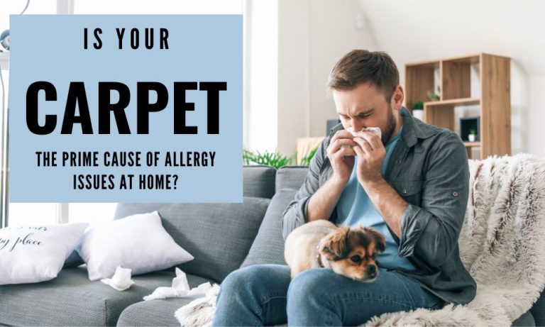 Is Your Carpet the Prime Cause of Allergy Issues at Home