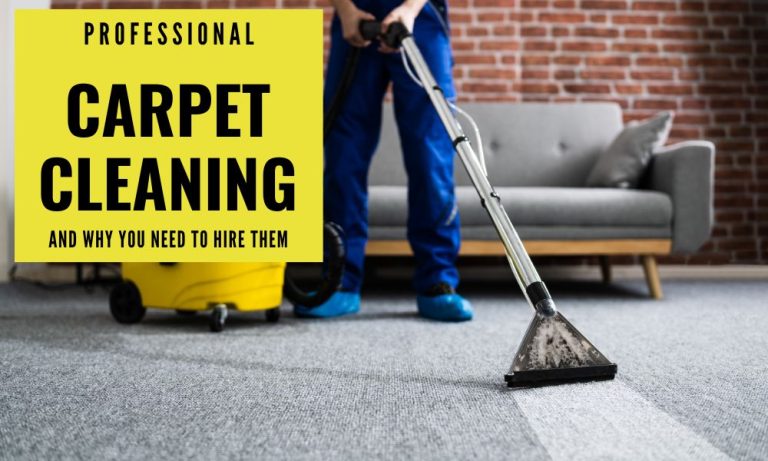 Professional Carpet Cleaning and Why You Need to Hire Them