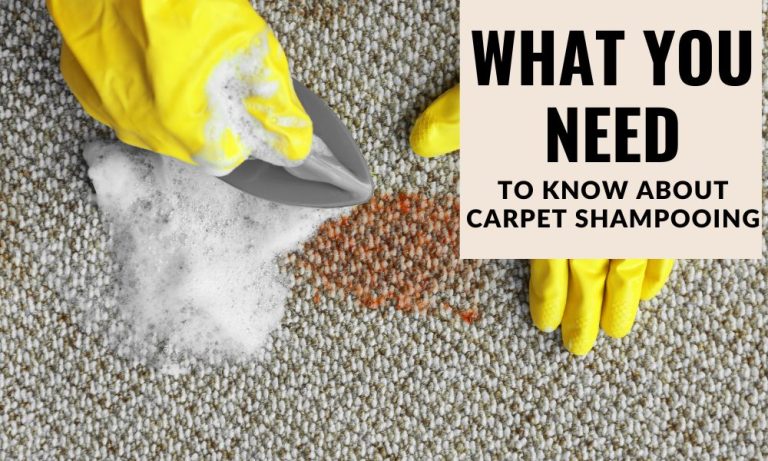 What You Need To Know About Carpet Shampooing